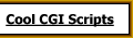 CGI Scripts