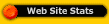 Your Website Statistics